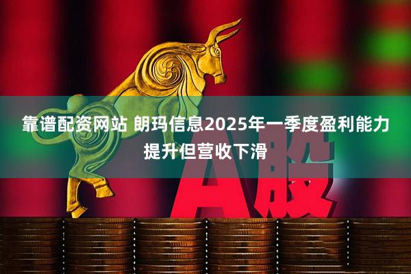 靠谱配资网站 朗玛信息2025年一季度盈利能力提升但营收下滑